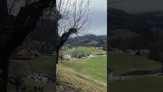 #gruyere #cheese ##switzerland #2024 #work #holiday
