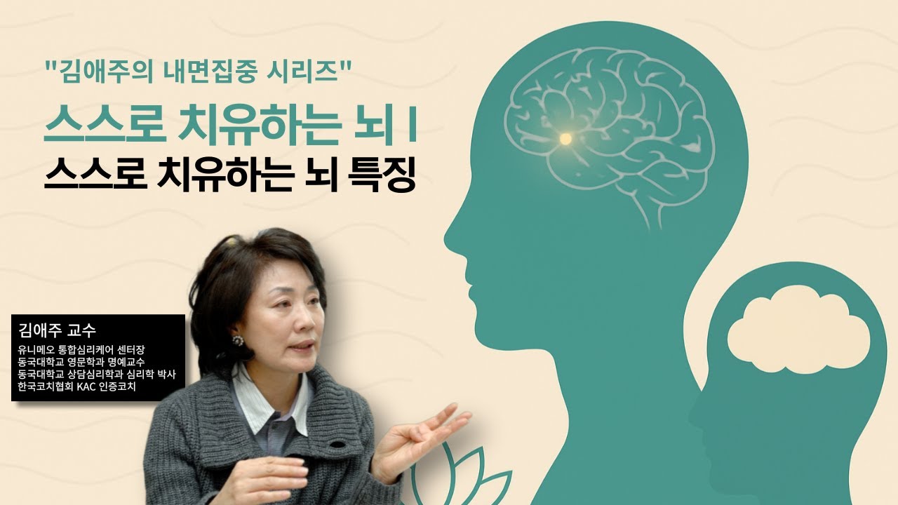 스스로 치유하는 뇌 I 스스로 치유하는 뇌 특징