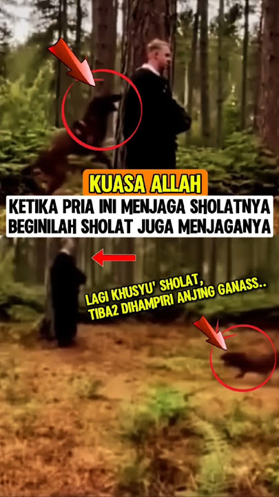 Allahu Akbar‼️Kuasa Allah‼️Sholat menjaga muslim ini dari anjing gan4s #kuasaallah #sholat #muslim