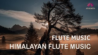 Himalayan Flute Music | Meditation Music | Relaxing Music | (बाँसुरी) Aparmita Ep. 146 by Aparmita 46,453 views 4 months ago 1 hour, 9 minutes