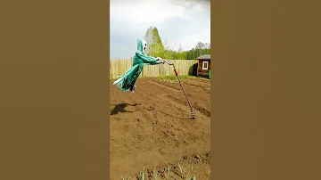 Интересное решение отпугивать птиц.😮