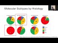 Molecular Classification of Endometrial Cancer and Targeted Therapy Considerations