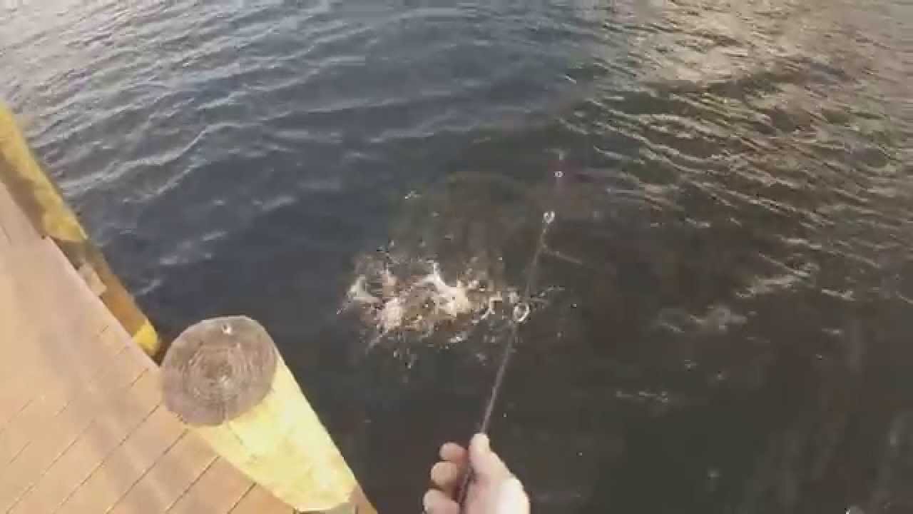 new rod, reel, and braid combo all from eposeidon.com