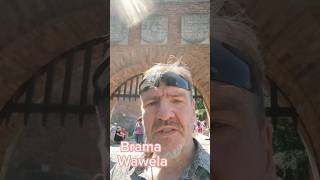 Pahonia nad bramaj Wawela