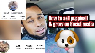 How to sell puppies like a pro‼️ 2021 & Grow on Social media as a Dog breeder‼️