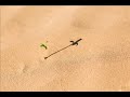 66 سورة التحريم القارئ عبدالرحمن الماجد 66 سورة التحريم القارئ عبدالرحمن الماجد