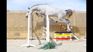 Video : Miky Way AE Z