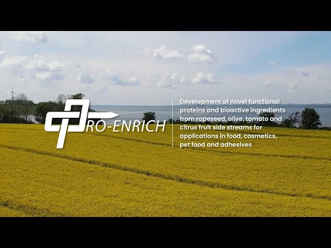 Processing of rapeseed meal and other raw materials for protein