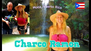 Adventure to Charco Ramon Waterfall in Moca, Puerto Rico w/ Valgame Si -Plus Jardin Buganvilia by LifeTransPlanet 2,724 views 9 months ago 12 minutes, 25 seconds