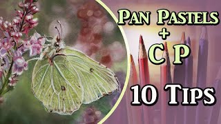 Pan Pastels + Colored Pencil  10 Tips