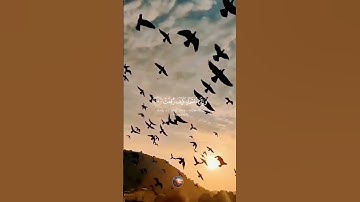 سورة الغاشية ✨️ القارئ ماهر المعيقلي 🌙 #قرآن