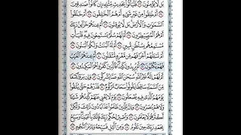 سورة الطور 41-49 ( للشيخ ياسر الدوسري )