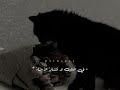 بالفصحى| شعر غزل عربي أصيل| ميَّزْتُها مِنْ بَيْنِ أَلْفِ جَمِيلَةٍ| أداء محمد شهاب