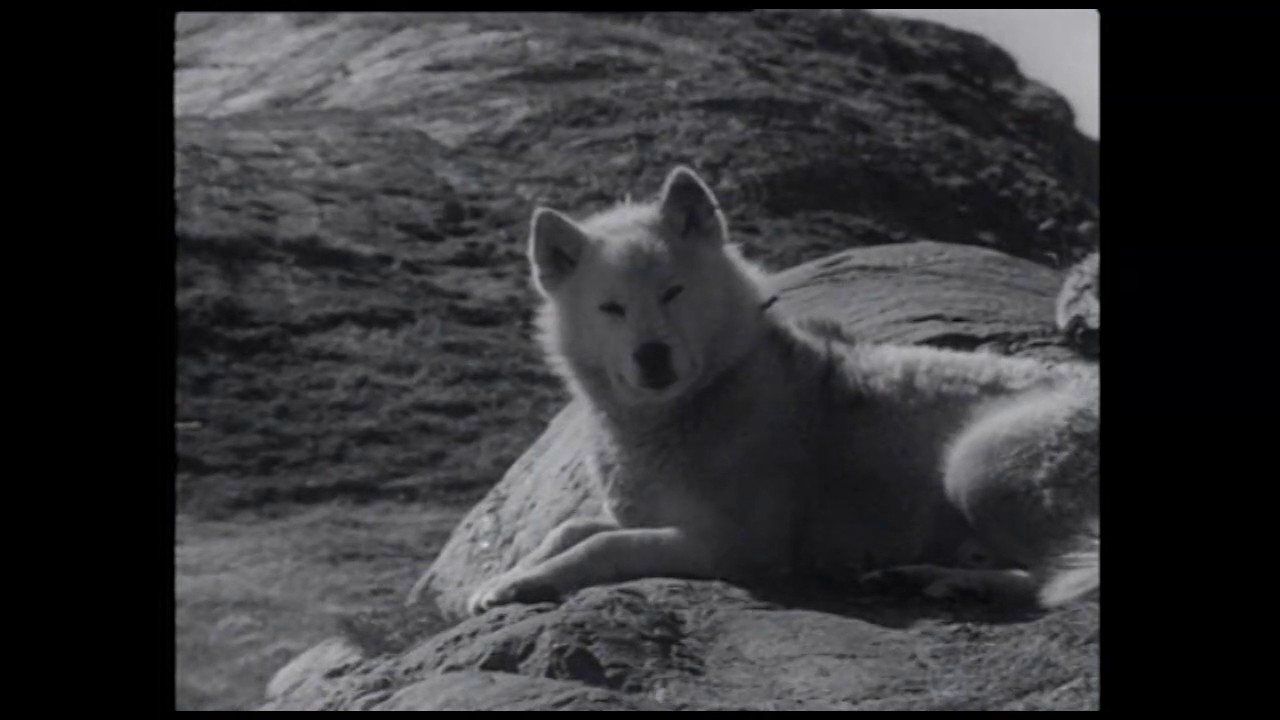 Nunatta oqaluttuassartaa - Bygden Akunnaaq 1973