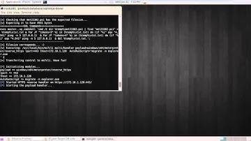 PowerNinja = SqlNinja + Powershell