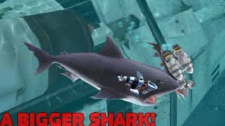 Hungry Shark Evolution/Tiger SHARK/Gameplay make fun for kid #20 screenshot 5