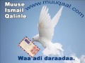 Waa Adi Daraadaa Lyrics Muse I Qalinle Aun