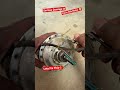 How to Repair Cycle Hub Motor | Repairing Ebike Hub Motor #ebike #repairing #diy #shorts
