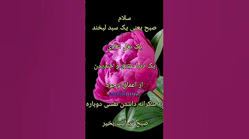 سلام صبحتون بخیر روزتون پر از خیر و برکت این گل زیبا تقدیم چشمان مهربان شما 
