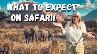 What you need to KNOW for your next SAFARI!? - Hints &amp; Tips