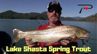 Trout Fishing Lake Shasta in the Spring