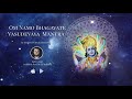 Om Namo Bhagavate Vasudevaya 108 Times - Most POWERFUL Krishna Mantra