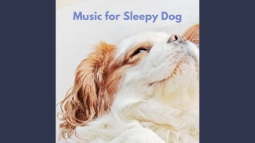 Simple Moods for Forgetting Mirrors