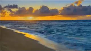 beach GIF!!!