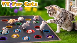 🔴Ultimate Cat TV－Best Entertainment Video for Cat to Calm Down when Home Alone😸Mouse Chase on Screen