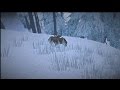 The Long Dark (все бункеры) #1 ("Таинственное озеро")