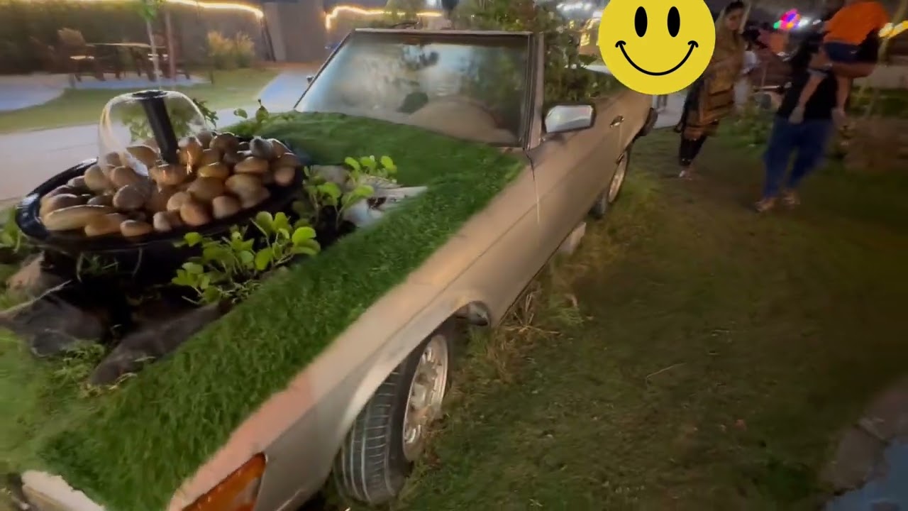 Repurposing a car body in a creative way for garden plants and house beautification