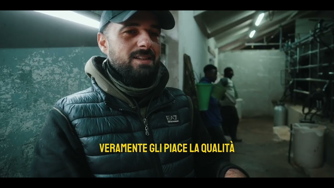 Il lLATTE prima della MOZZARELLA | Caseificio PERROTTA - Daily 01