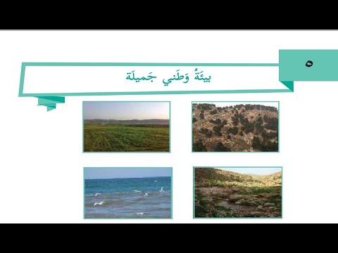 درس بيئة وطني الجميلة حل التدريبات الصف الثالث التنشئة الوطنية الوحدة الاولي الدرس الخامس