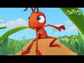 High Wire Act | Antiks 🐜 | Funny Cartoons for Kids