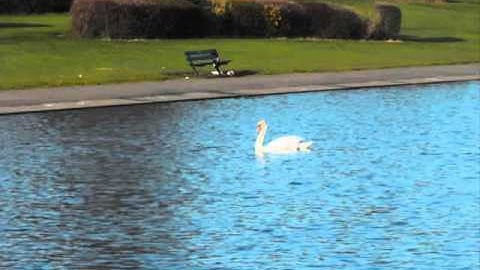 تلاوة للشيخ نورالدين المسلاتي