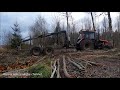 MTZ with trailer Palms..(HD)