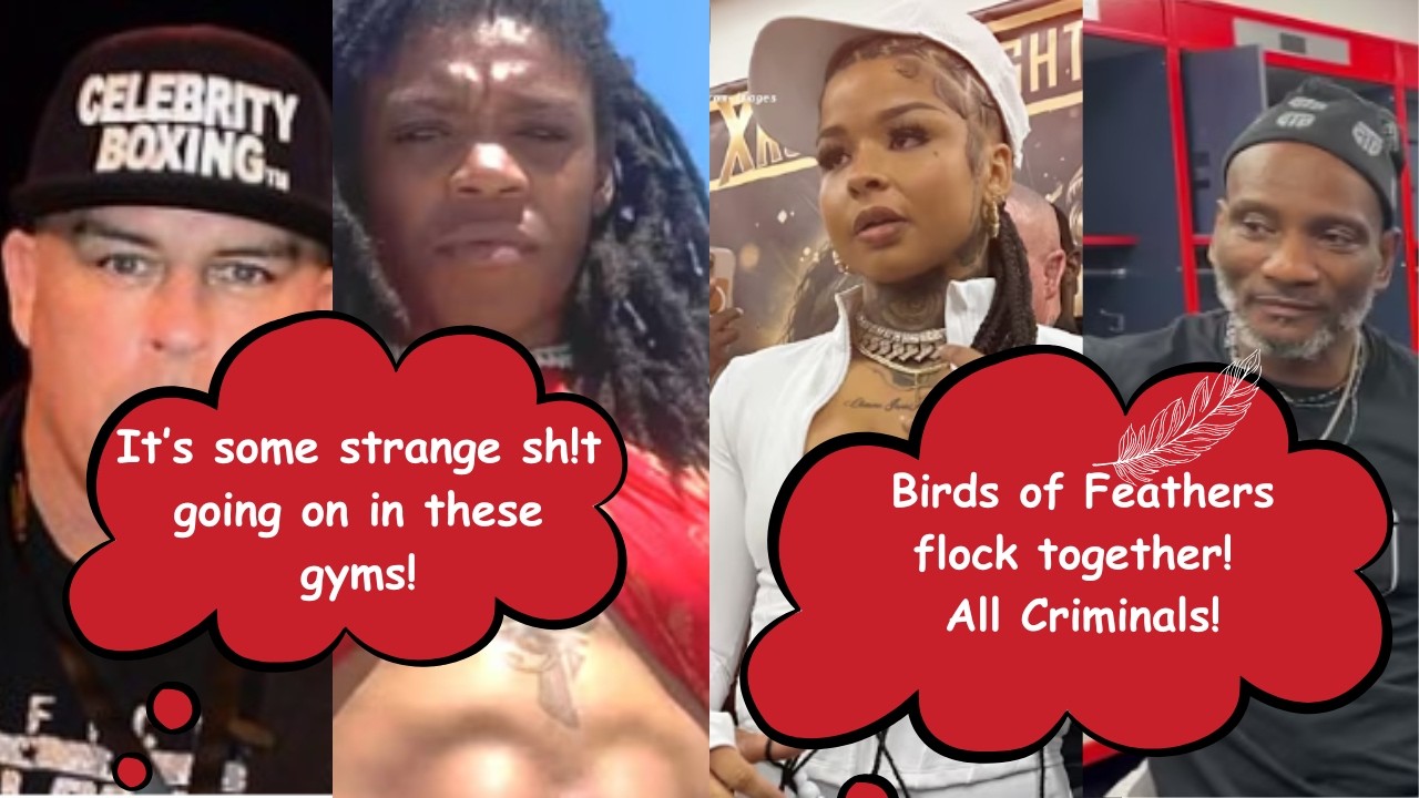 Chrisean Rock Vs Zenith Zion This is crazy EVIL ENERGY going on in both opponents camp/gym. Fraud 💰🤔