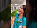 Listen, laugh, learn and improve your speaking skill. #funny #english #education #youtubeshorts ‎
