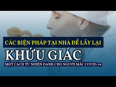 Video: Véc Tơ Khứu Giác - Trang 2