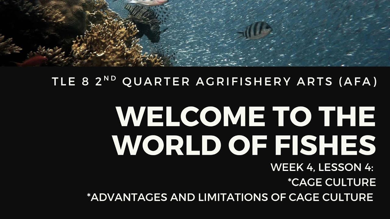 TLE Grade 8  2nd Quarter Week 4 Lesson 4