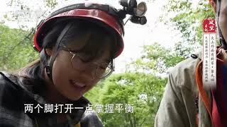 《攻坚日记》 20200907 大山外面有新家·第九回 天坑速降添动力 集体经济遇荆棘|CCTV农业