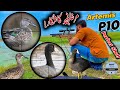 Duck hunting with airgun chapter 01 march 2024artemis p10 airgunairhunter pk