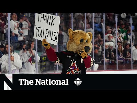 NHL approves Arizona Coyotes move to Utah