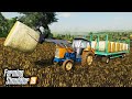 🔥 Zbieramy Belki Słomy Nowymi Traktorami 🦹‍♀️👨🏼‍🌾 Rolnicy z Miasta 😍 Farming Simulator 19 🚜