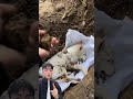 #親子教育 #兒童安全 #青年創作者成長計劃 #自然奇境科普季 #萬物皆可種草搜