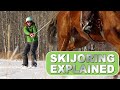 Skijoring in the Canadian Prairies