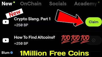 Crypto Slang. Part 1 Video Code | Blum New Video Code 24 October | Blum Video Code Today