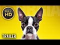 🎥 HOTEL FOR DOGS (2009) | Movie Trailer | Full HD | 1080p