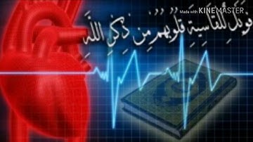 القارئ #*محمد نذير*