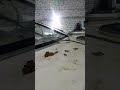 Через что в катер течет вода